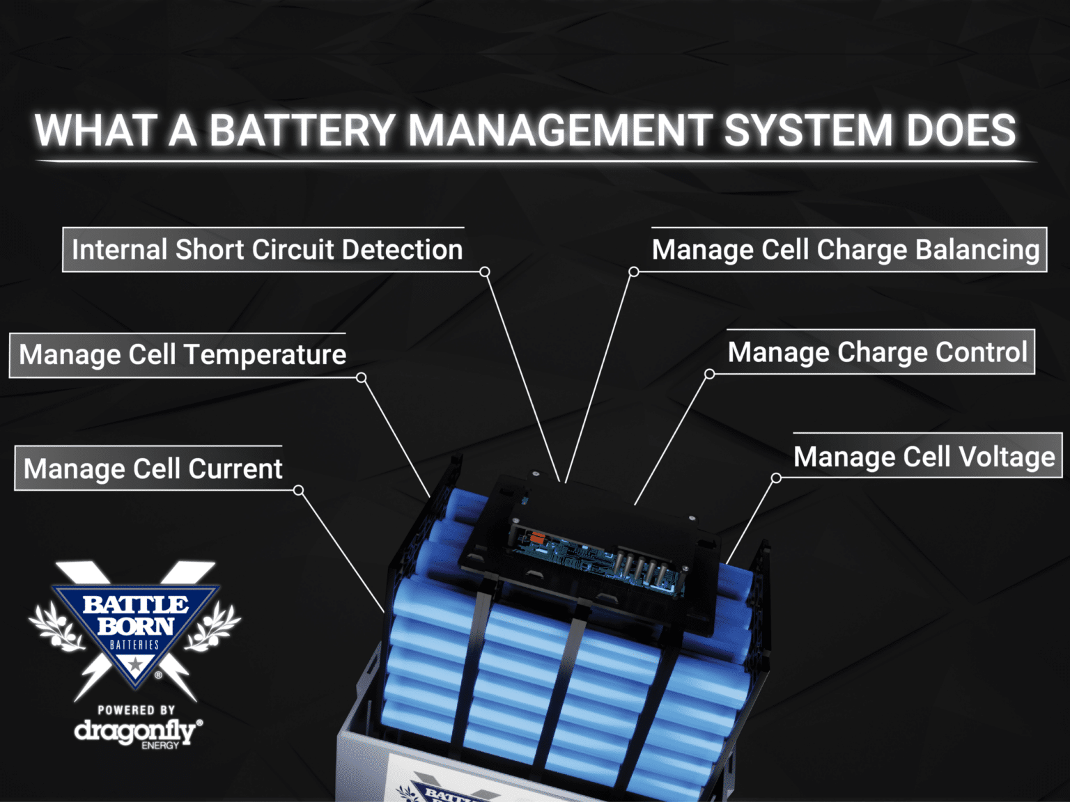 Infographics Battle Born Batteries