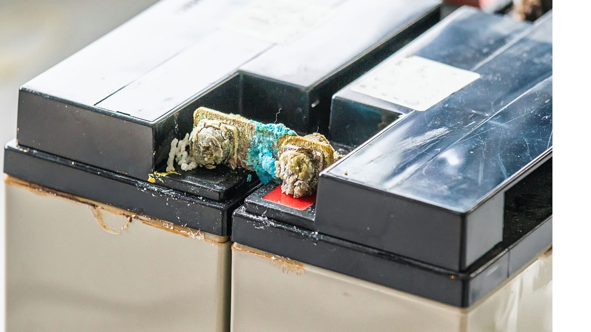 Battery Terminals With Blue Corrosion