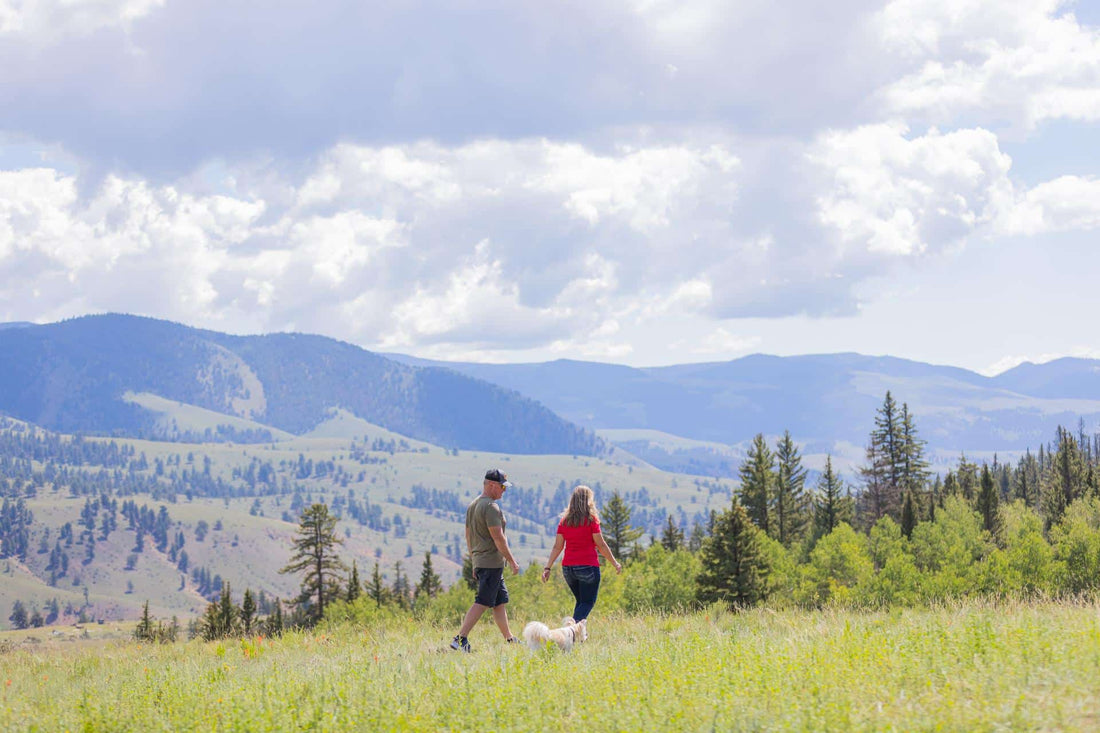 couple walking through nature environment