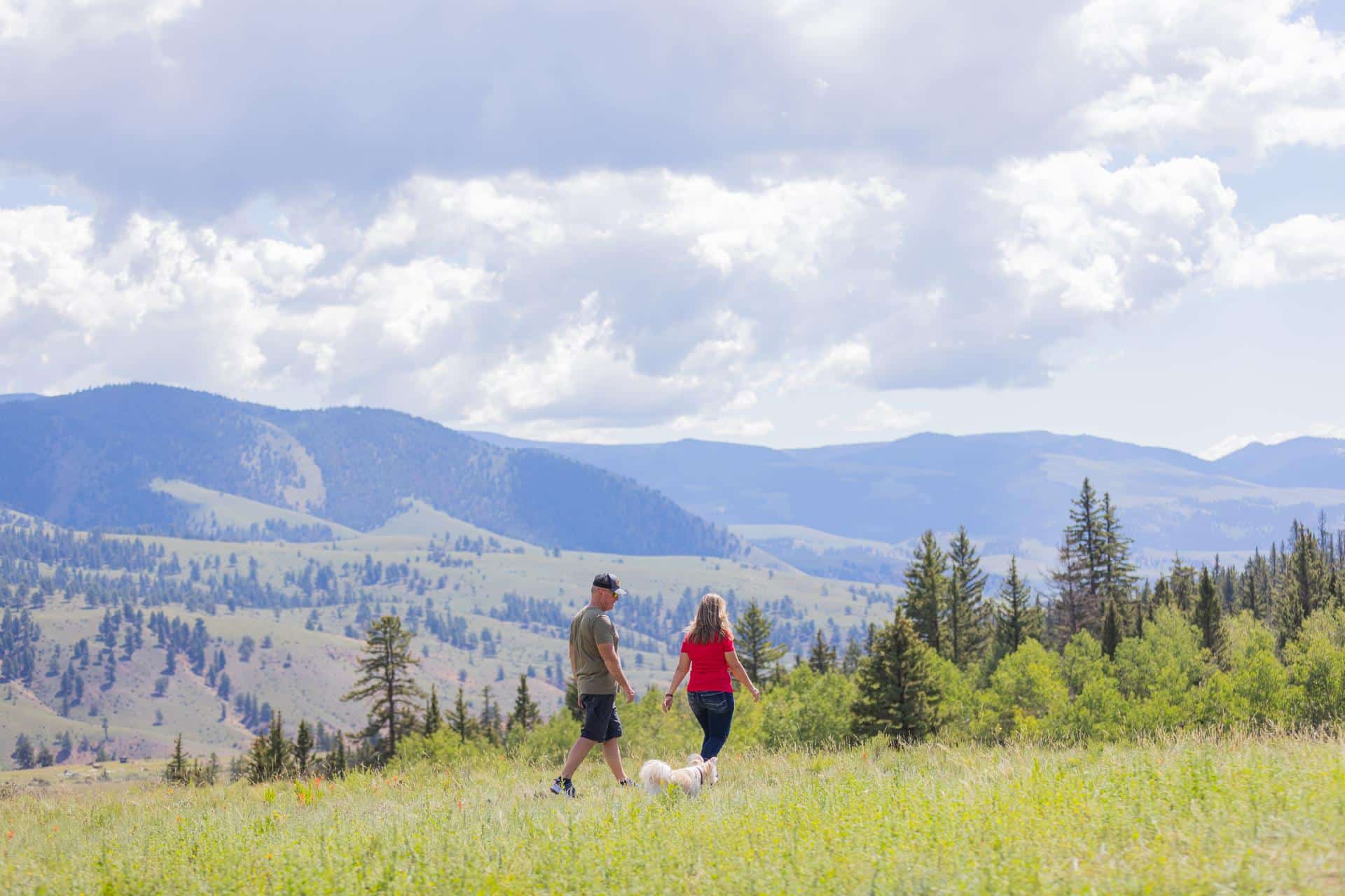 couple walking through nature environment