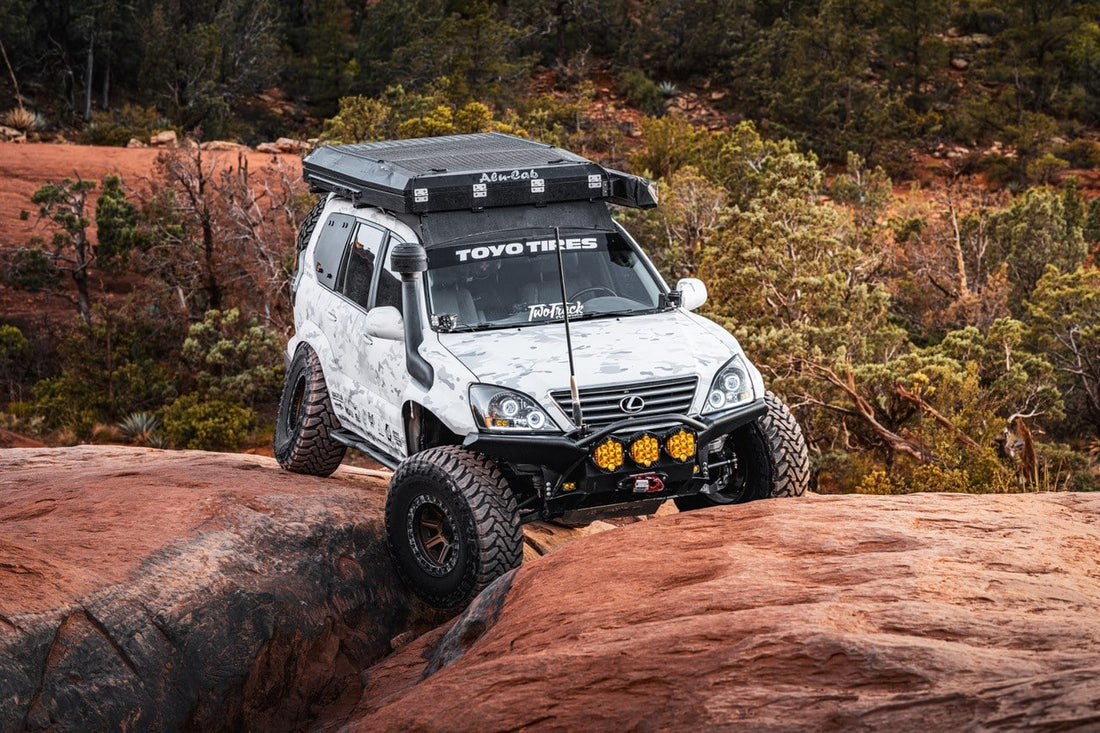 Chase in Point Lexus on Rocks