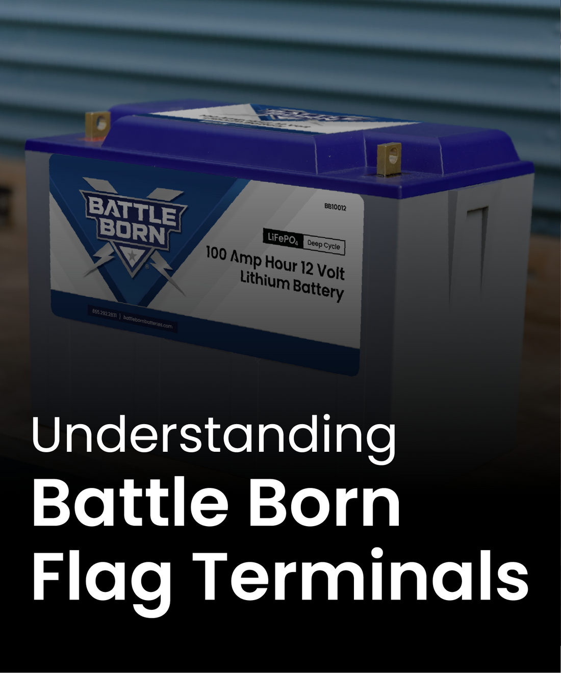 Understanding Battle Born Flag Terminals | The Battle Born Educational Series