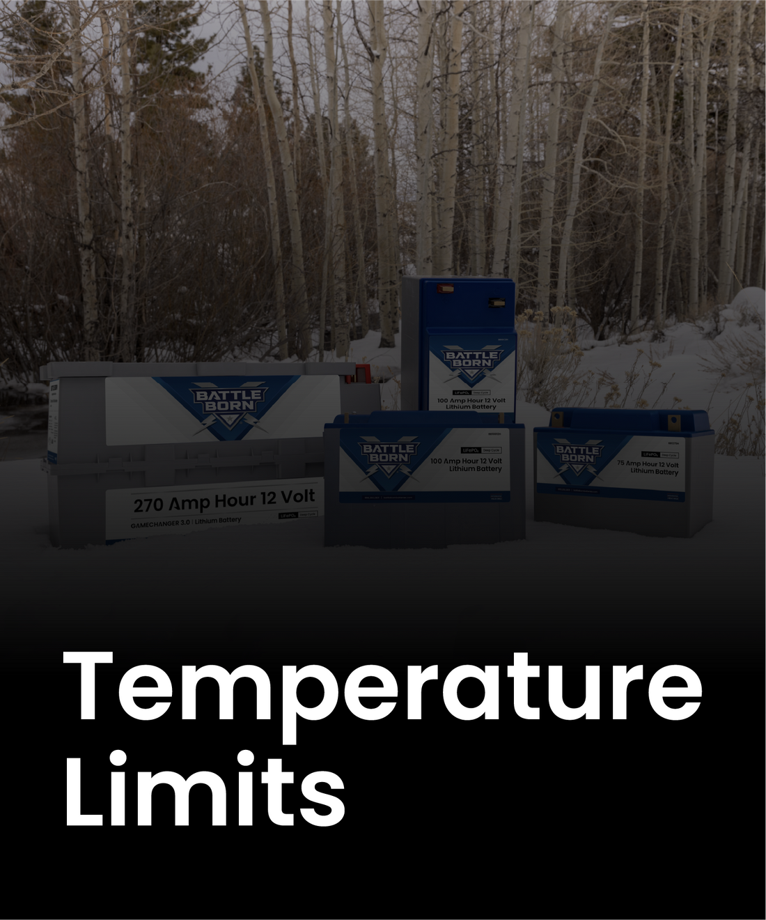 Understanding Temperature Limits of LiFePO4 Batteries