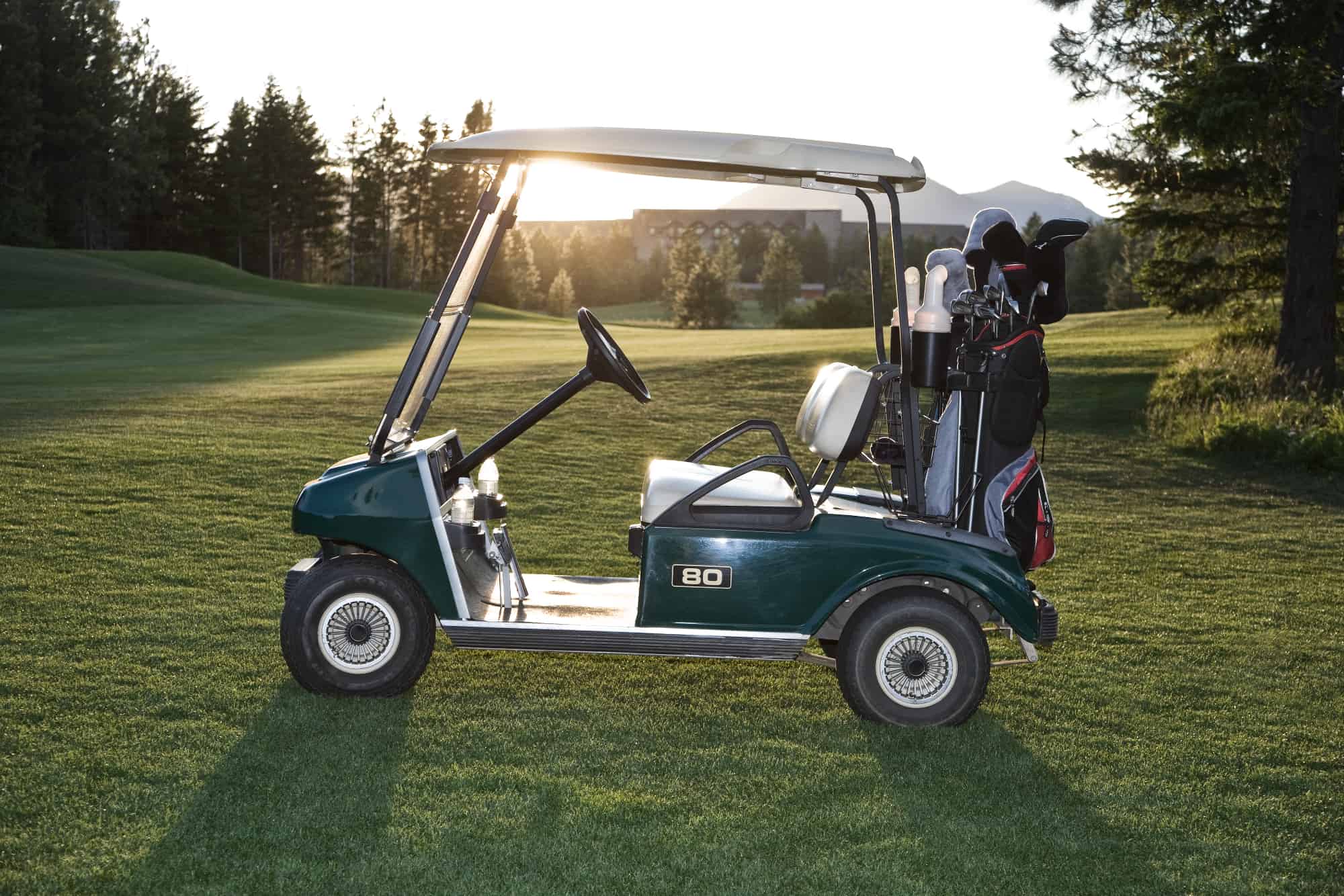 electric golf carts