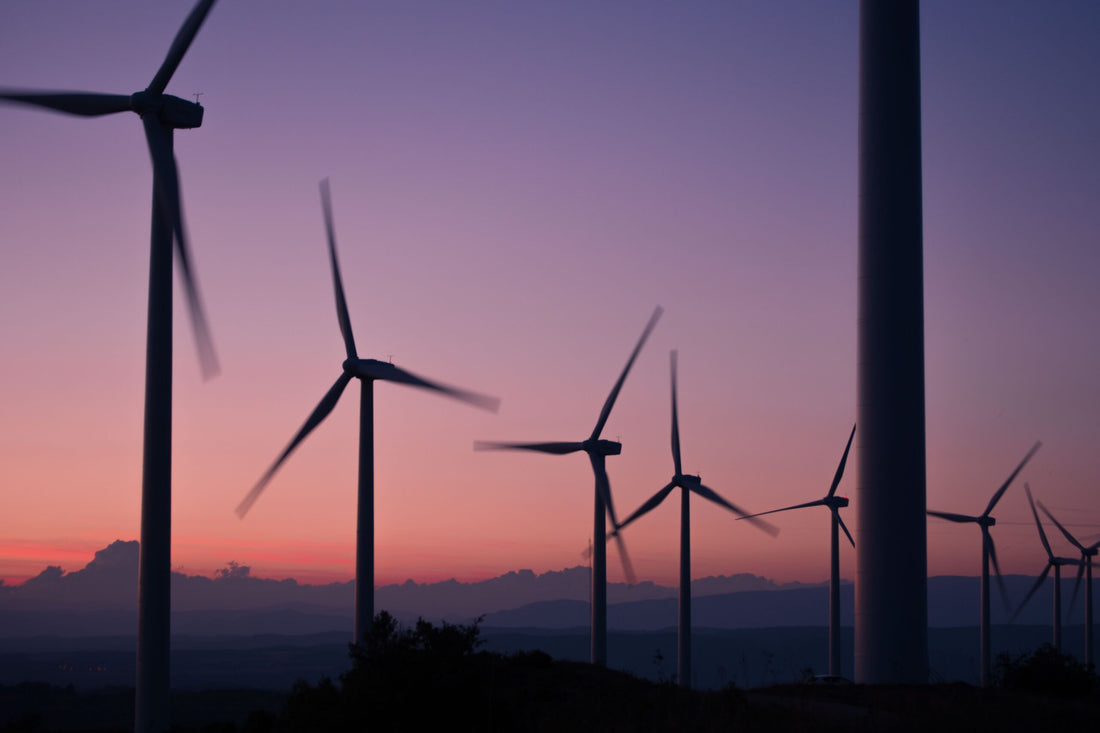 Battle Born Batteries: Wind turbines sit in a field at sunset to produce renewable energy