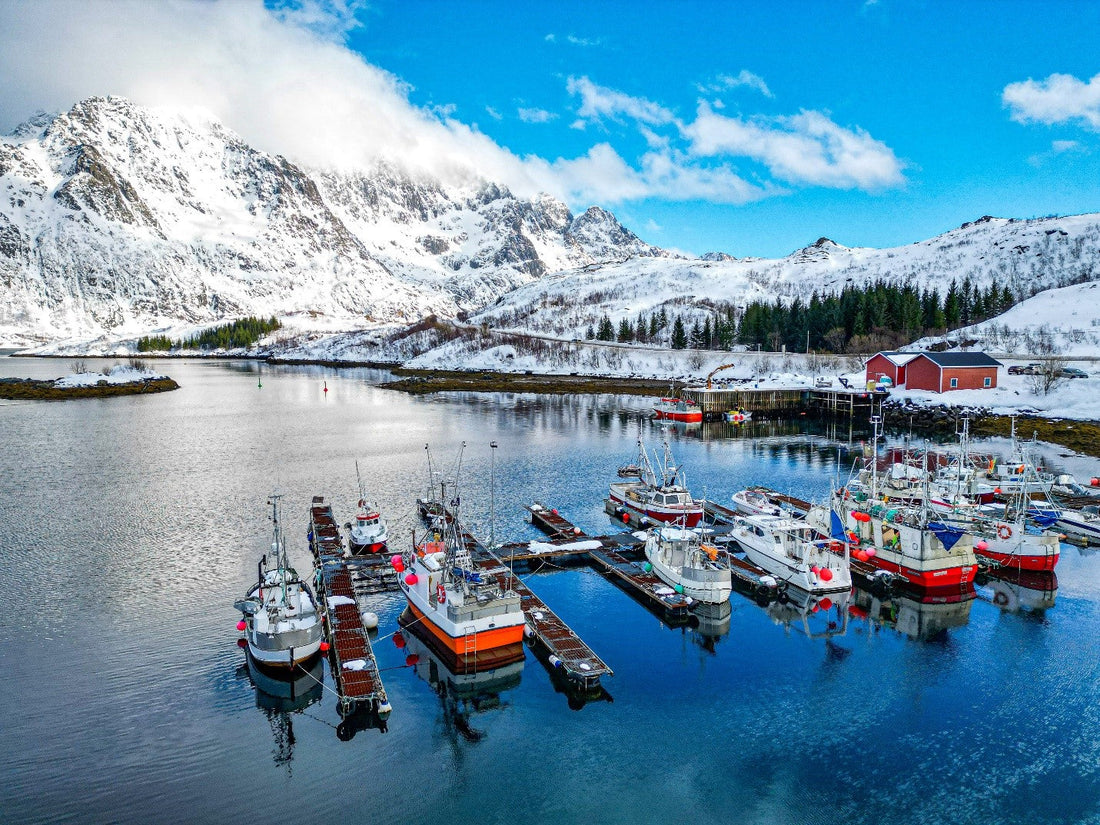 Boats on the water in the winter