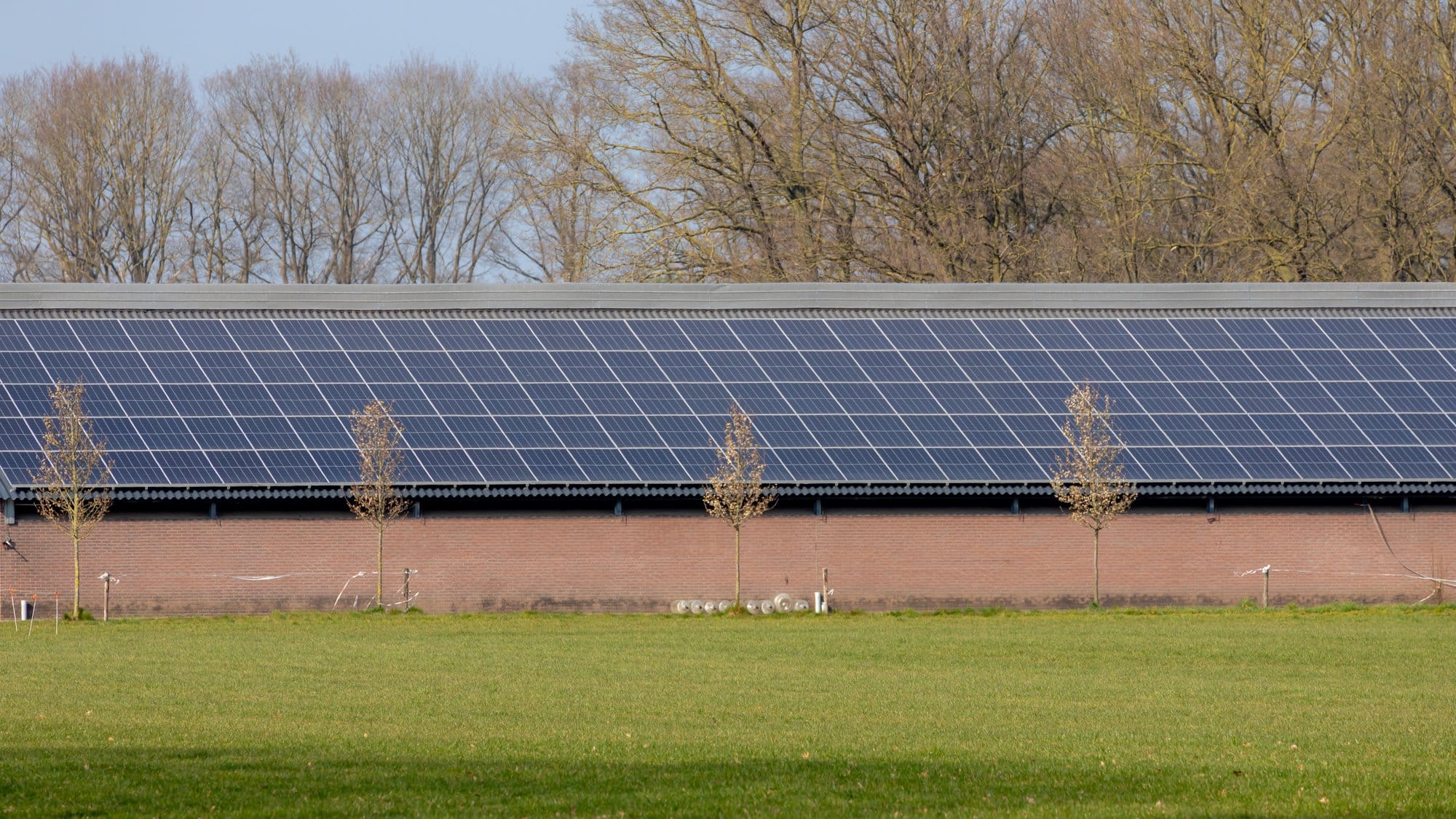 industrial solar