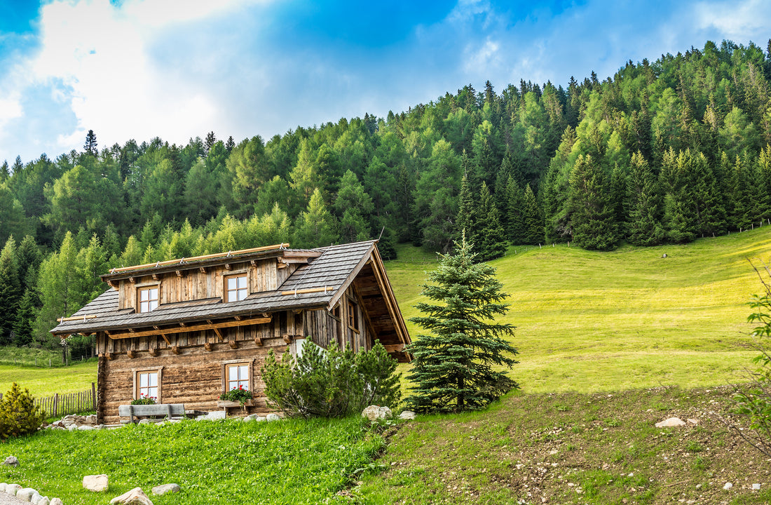 off grid cabin|Battle Born_The Johnsons Stills_Jan2022|Ben-Edwards-Sierra-City_Still-10|Ben-Edwards-Sierra-City_Still-11|Martin and Julie Johnson 13|Modern cabin in rural forest