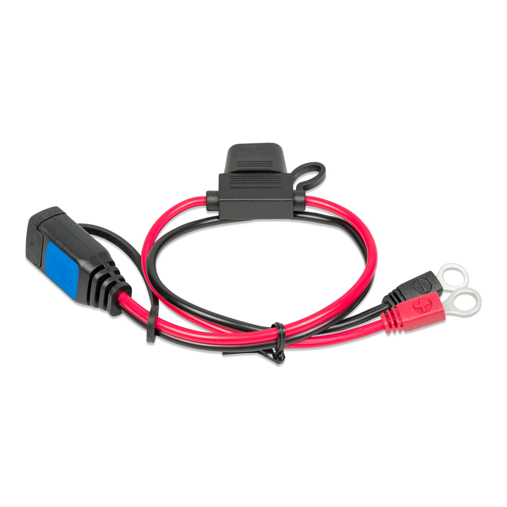 VICTRON エレクトーン M8 Eyelet Connector (with 30A ATO Fuse) - Battle Born Batteries