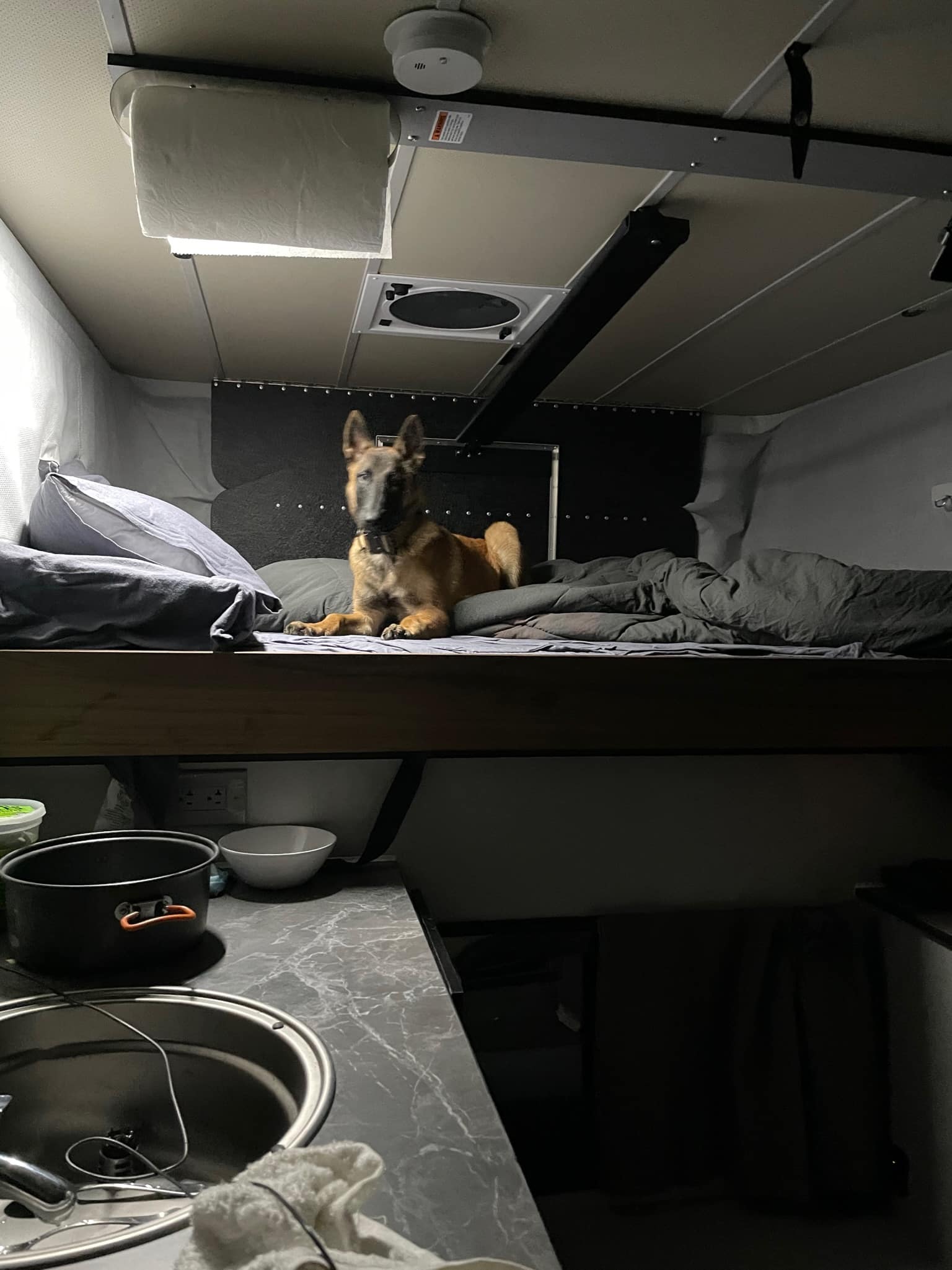 Sean Silvera's Dog Freya in Their Truck Camper