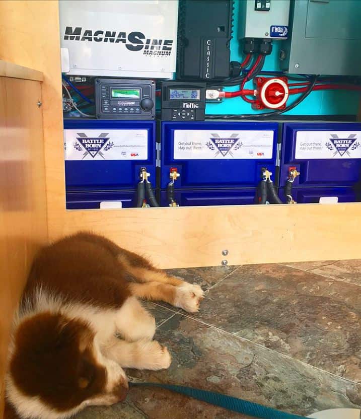An Australian Shephard puppy is laying in front of a Battle Born Batteries bank.