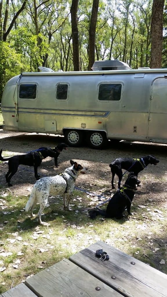 US Navy Veteran Upgrades Airstream to 12 Volt Lithium LiFePO4