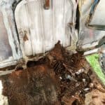 The battery area of a 1976 Airstream Argosy which is rotted and full of mold, ants and battery corrosion.