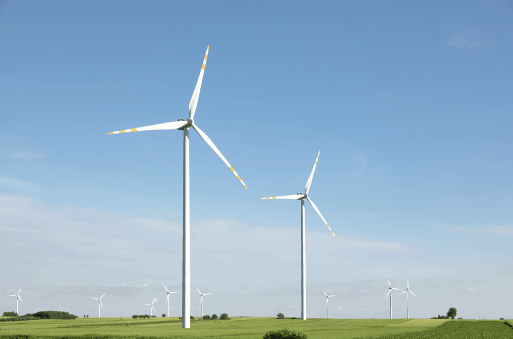 wind turbines in an open field