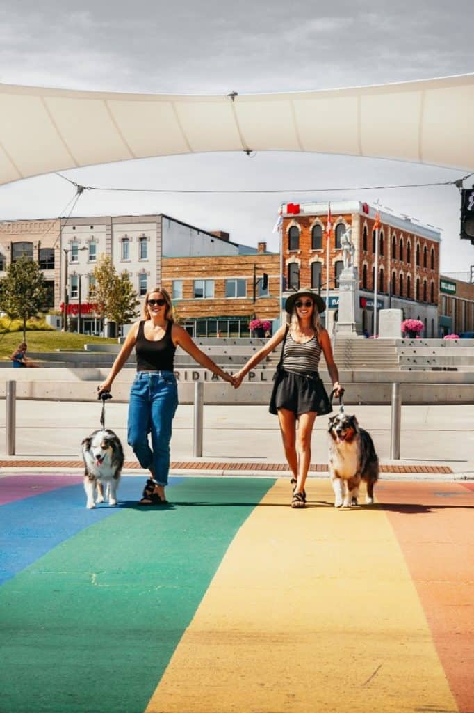 The Vanwives holding hands while walking their dogs on a rainbow-painted road