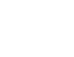 Battle Born shield logo