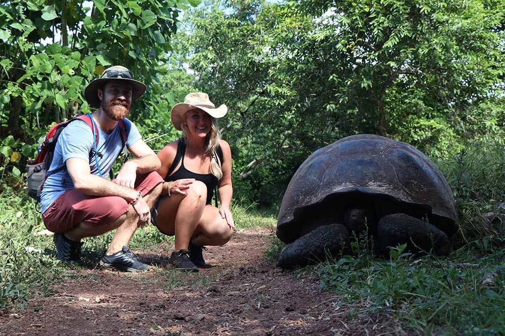 BE Adventure Partners with Giant Tortoise