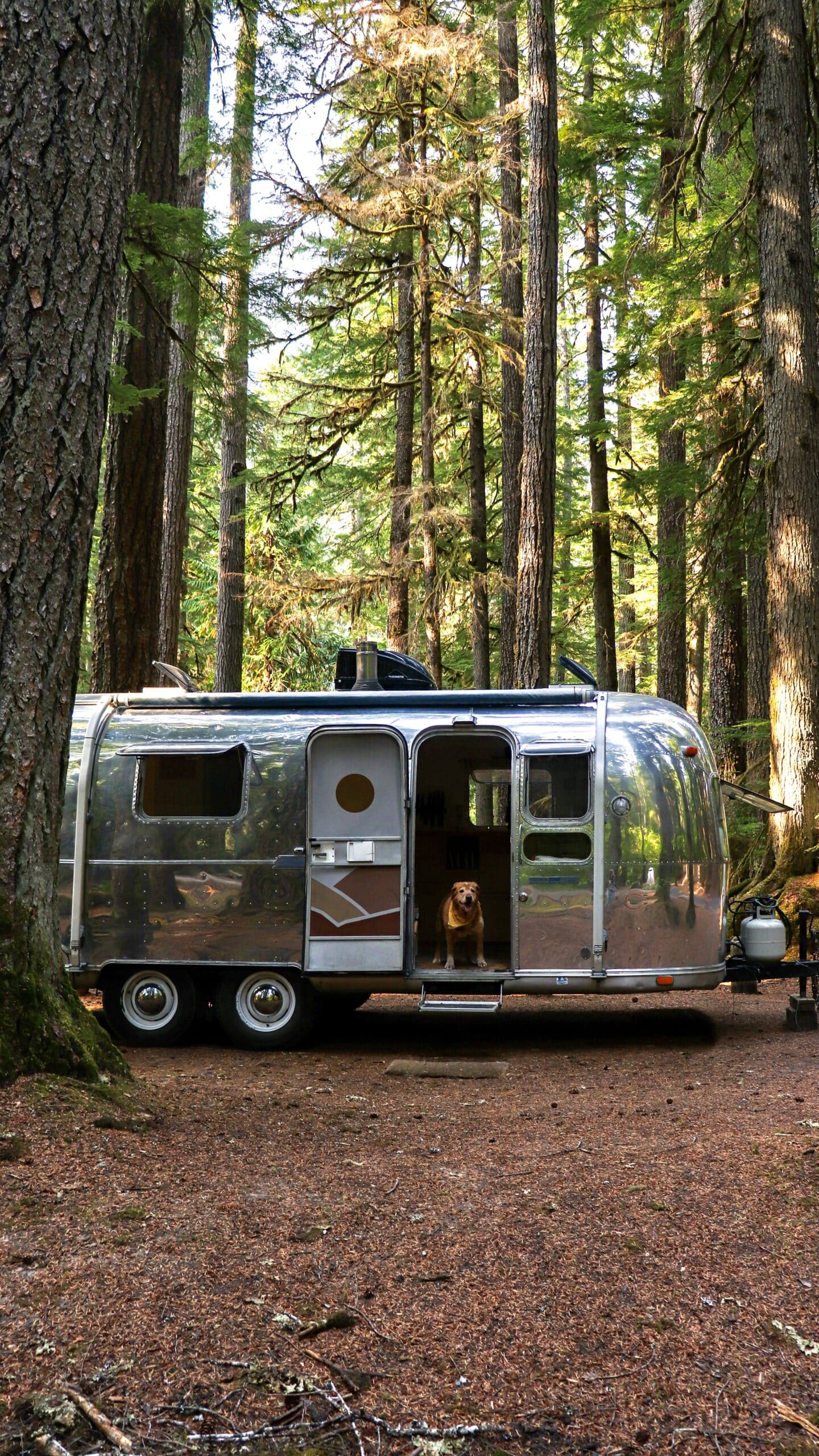 Trip in Slow Car Fast Home's Airstream in the Forest in Washington