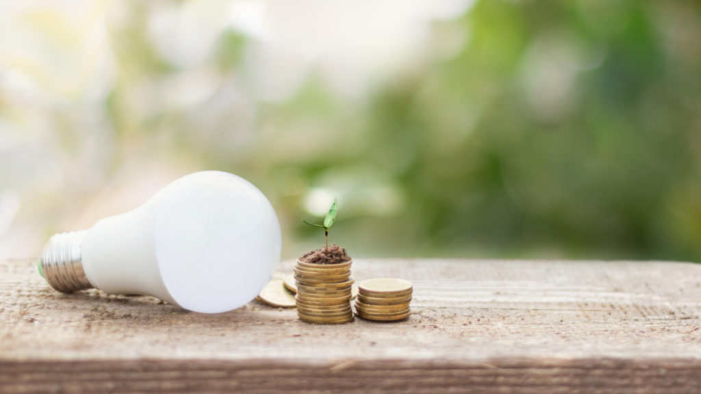 light bulb by stack of coins with plant visualizing cost and energy savings of passive homes