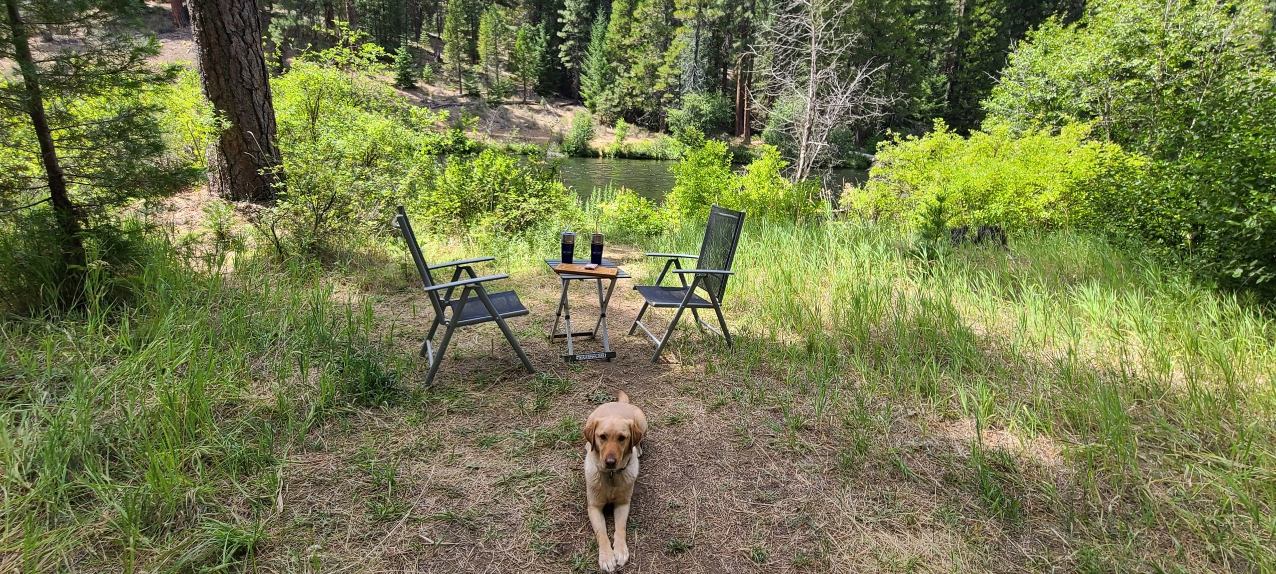 Dog in Front of Camp Chairs and a Table by a River