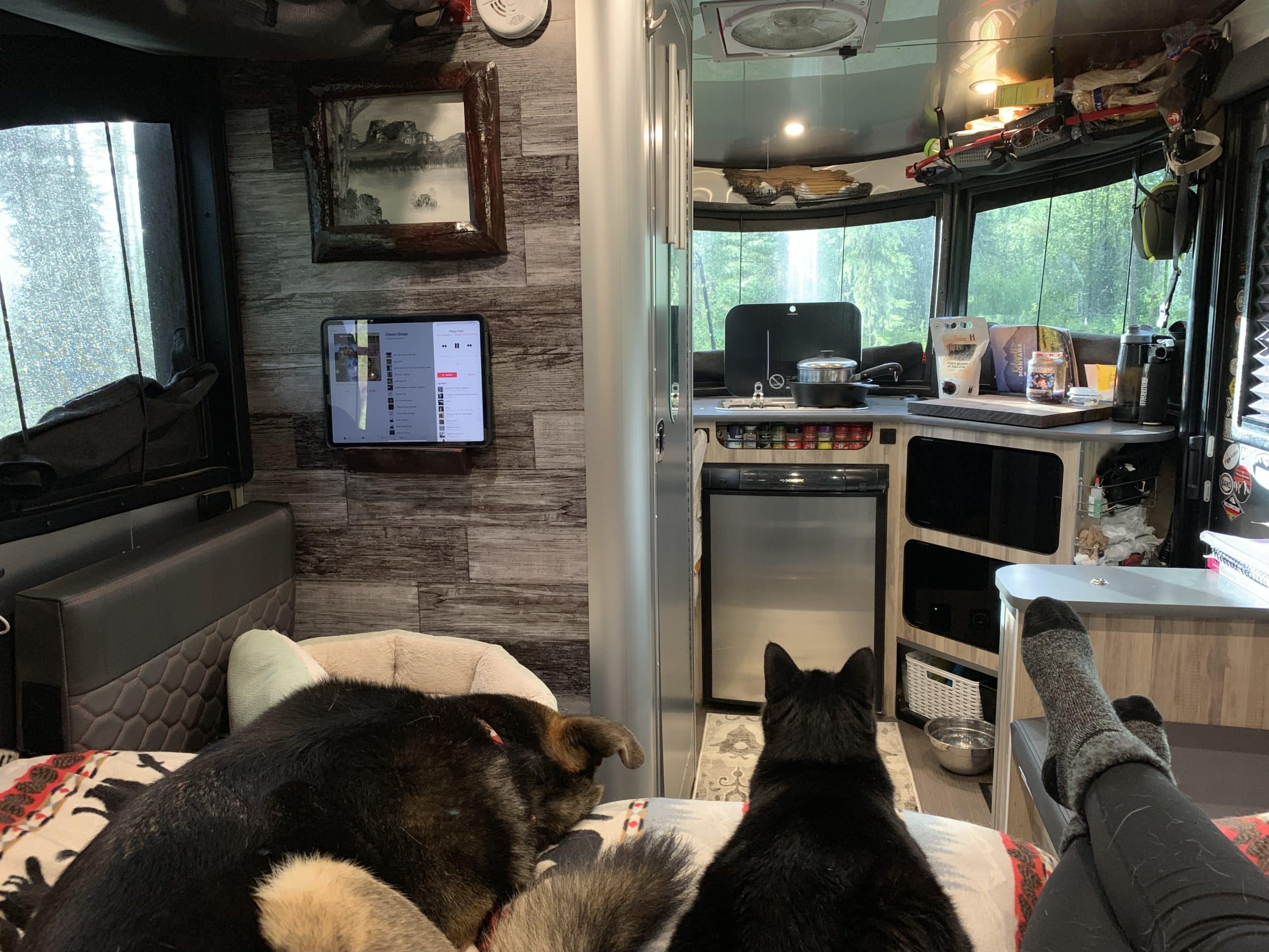 Interior of Tails of Wanderlust Airstream Basecamp with Cass, Jasper, and Napoleon on the Bed