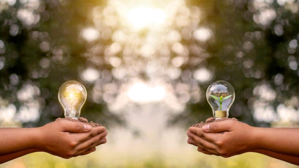 Two sets of hands holding lightbulbs with electricity in one and a small plant in the other