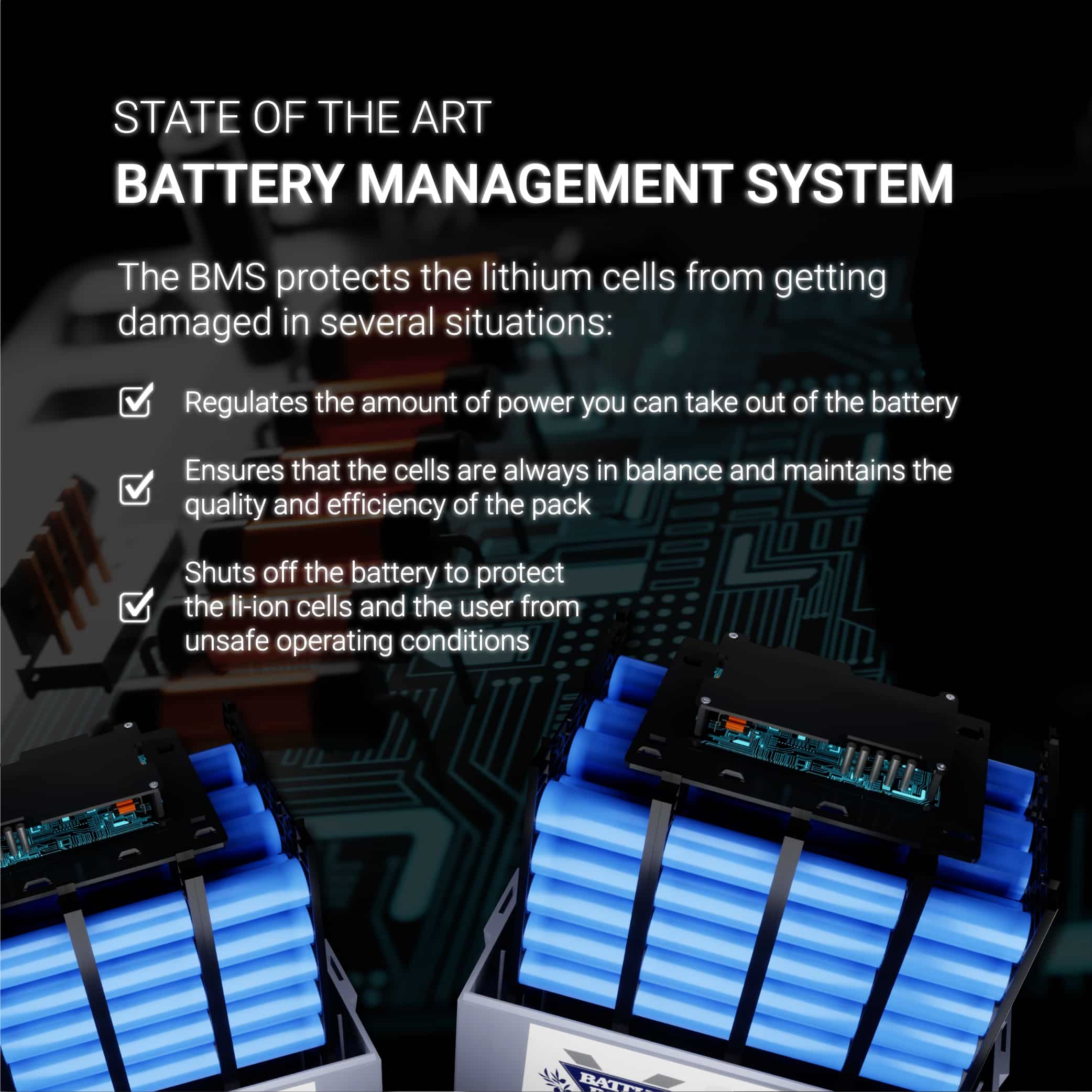 lithium ion battery management system that protects battery and power system