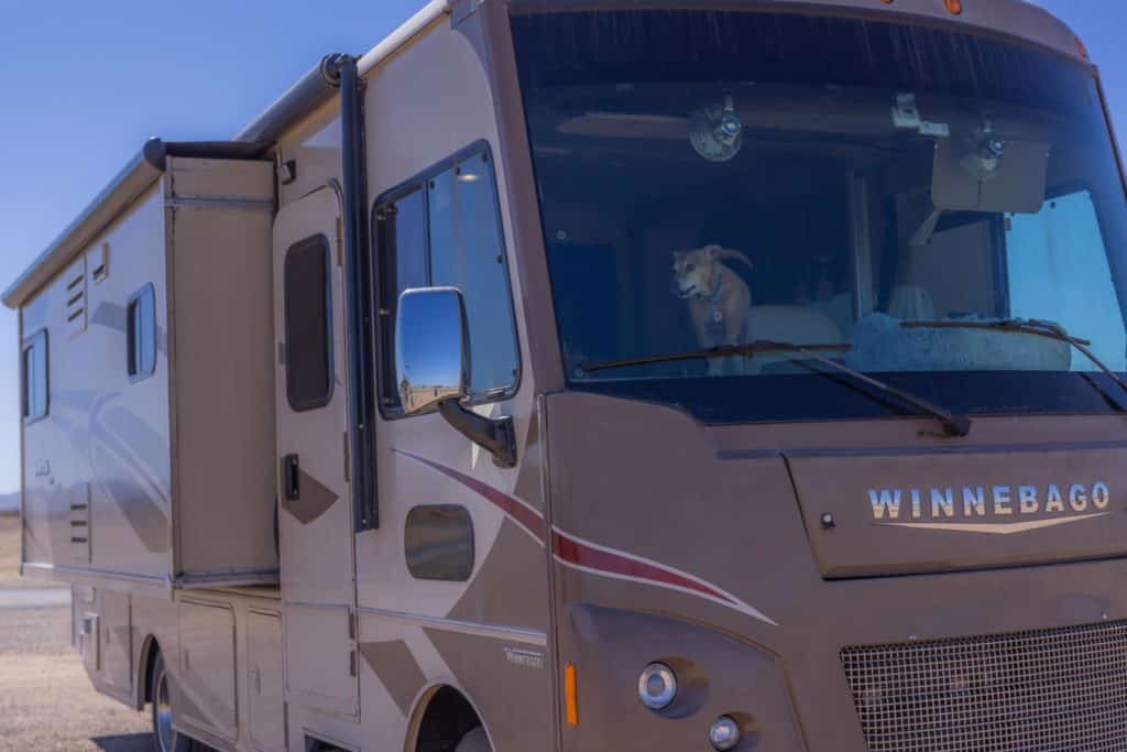 Dog sitting in the front seat of a Winnebago RV
