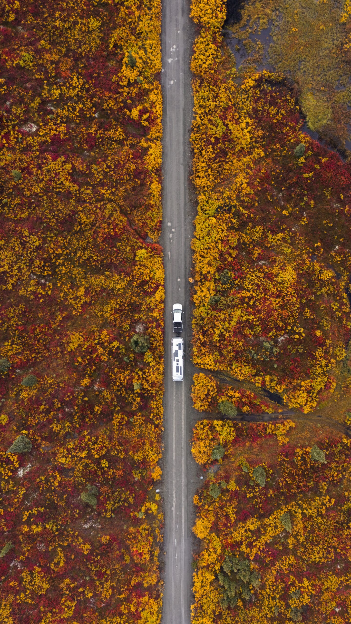 Areal View of a Truck Pulling an Airstream Camper Down a Road in Alaska in the Fall
