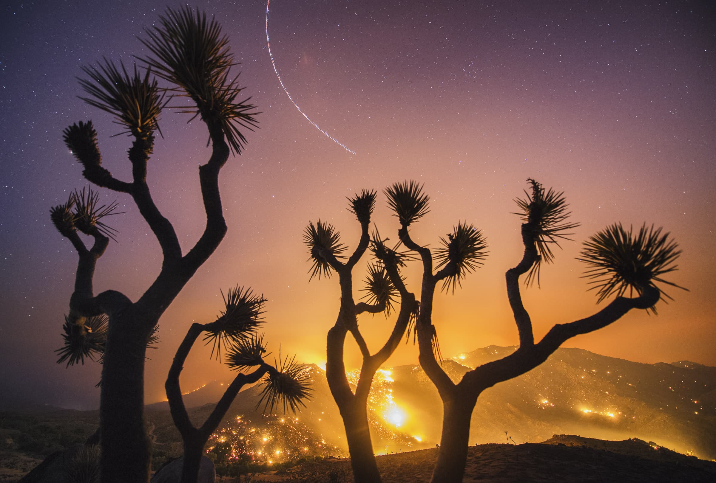 Stuart Palley Photo of the wildfires