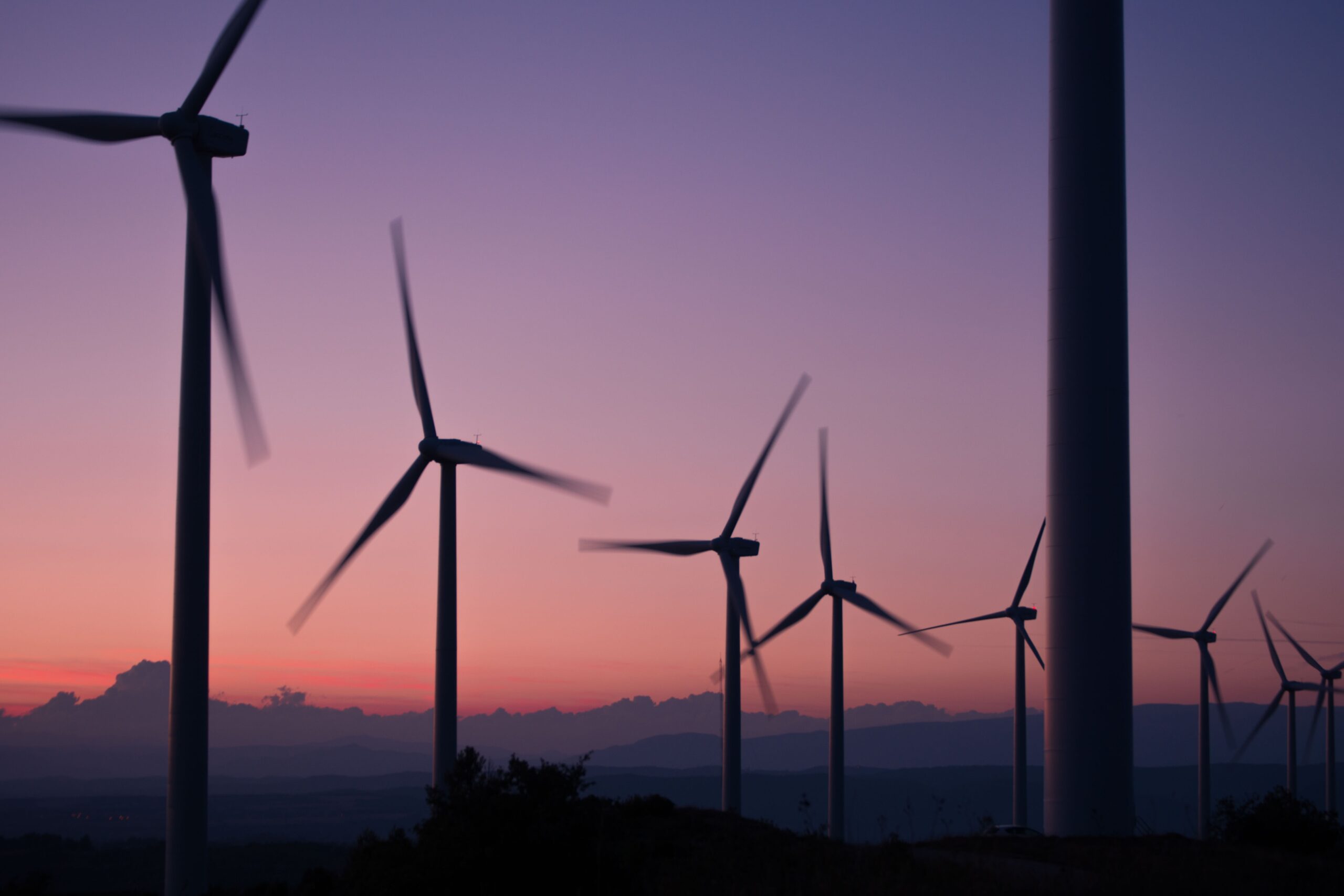 Battle Born Batteries: Wind turbines sit in a field at sunset