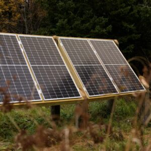 Solar Panels in the Forrest