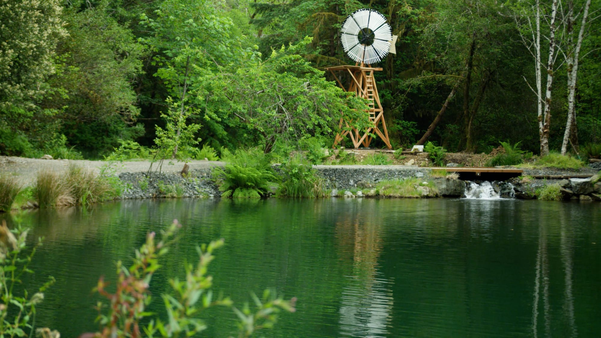 pond at Rick Harrison's off-grid property
