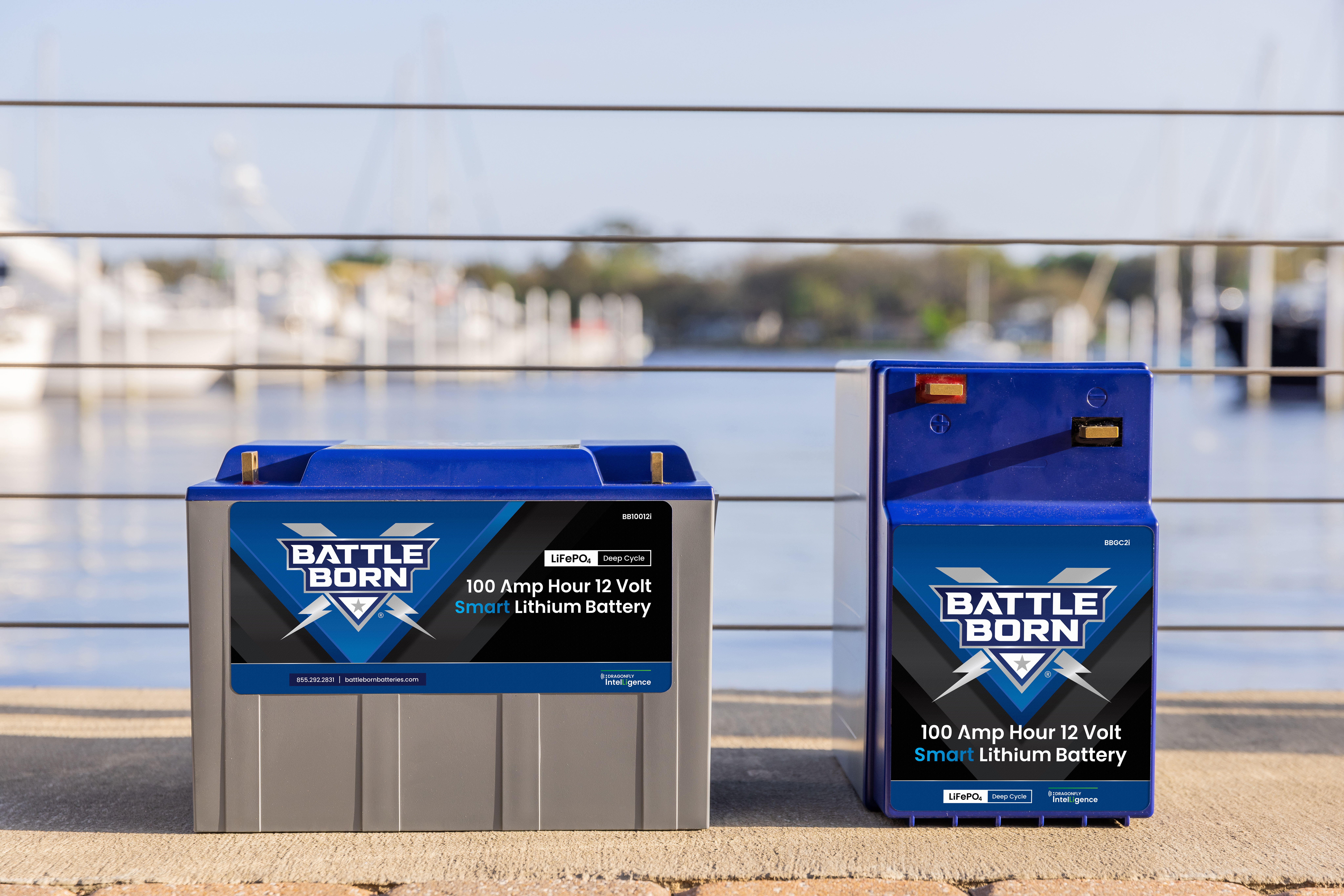 smart lifepo4 batteries
