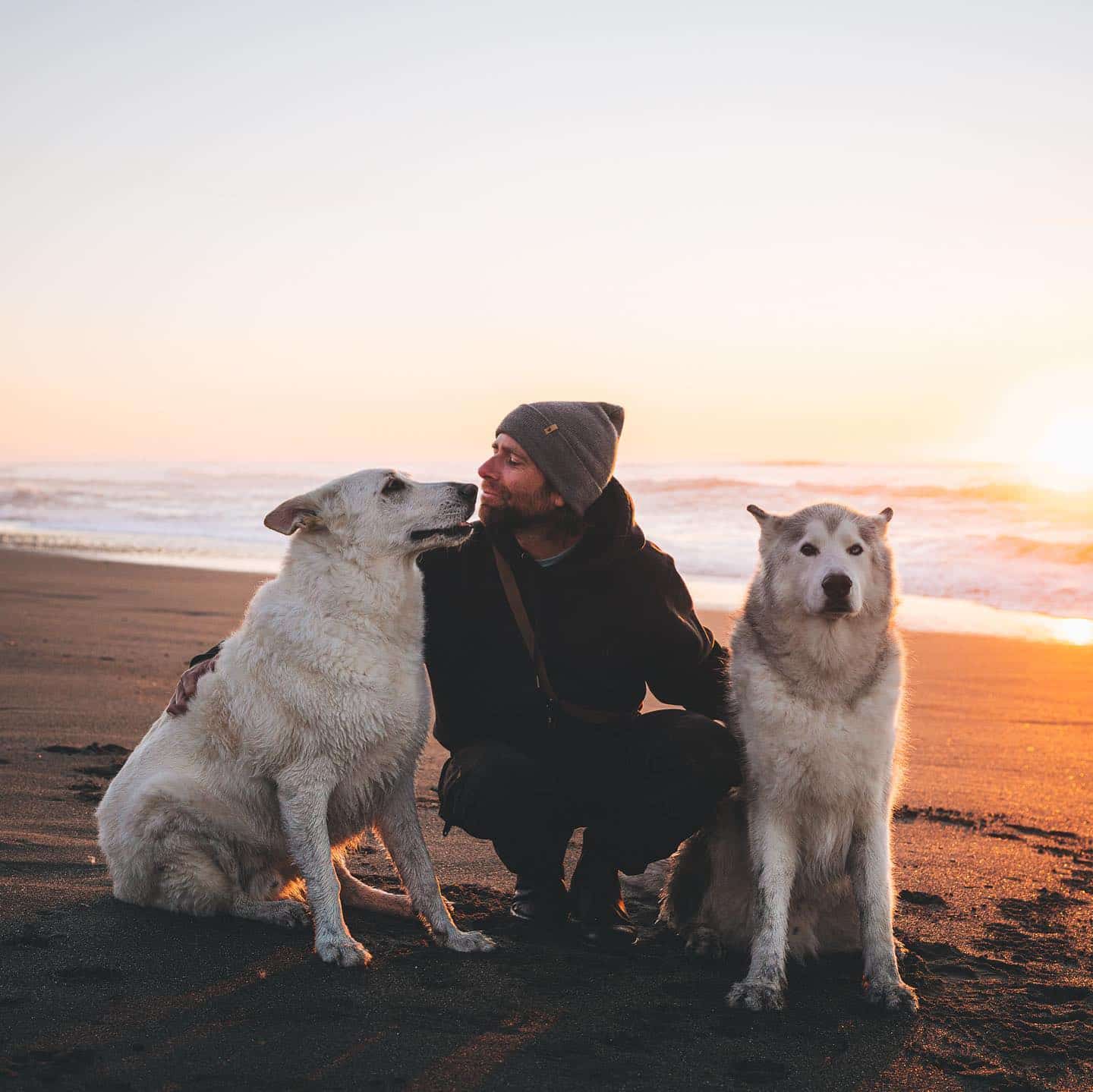 Loki the Wolfdog and Raven and Kelly on the beach