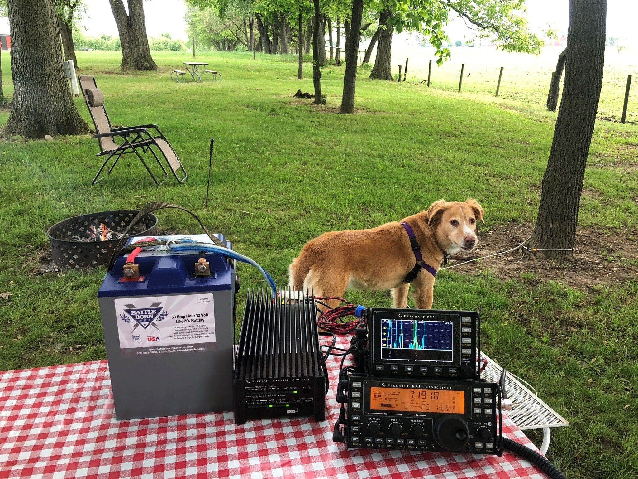 Dog, Molly Jean, is standing behind Ham radio connected to a Battle Born Battery.