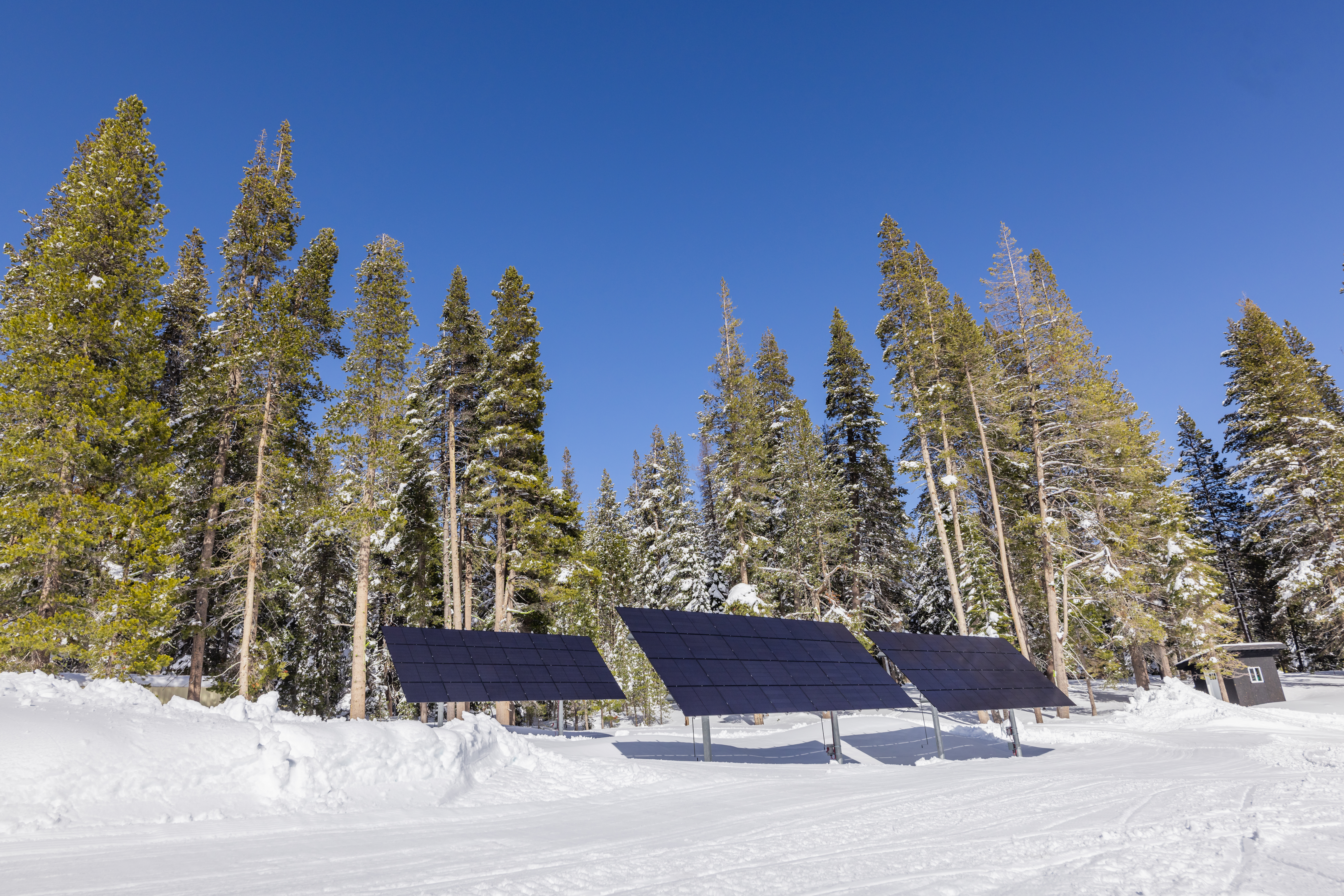 Solar Panels in the snow surrounded by trees