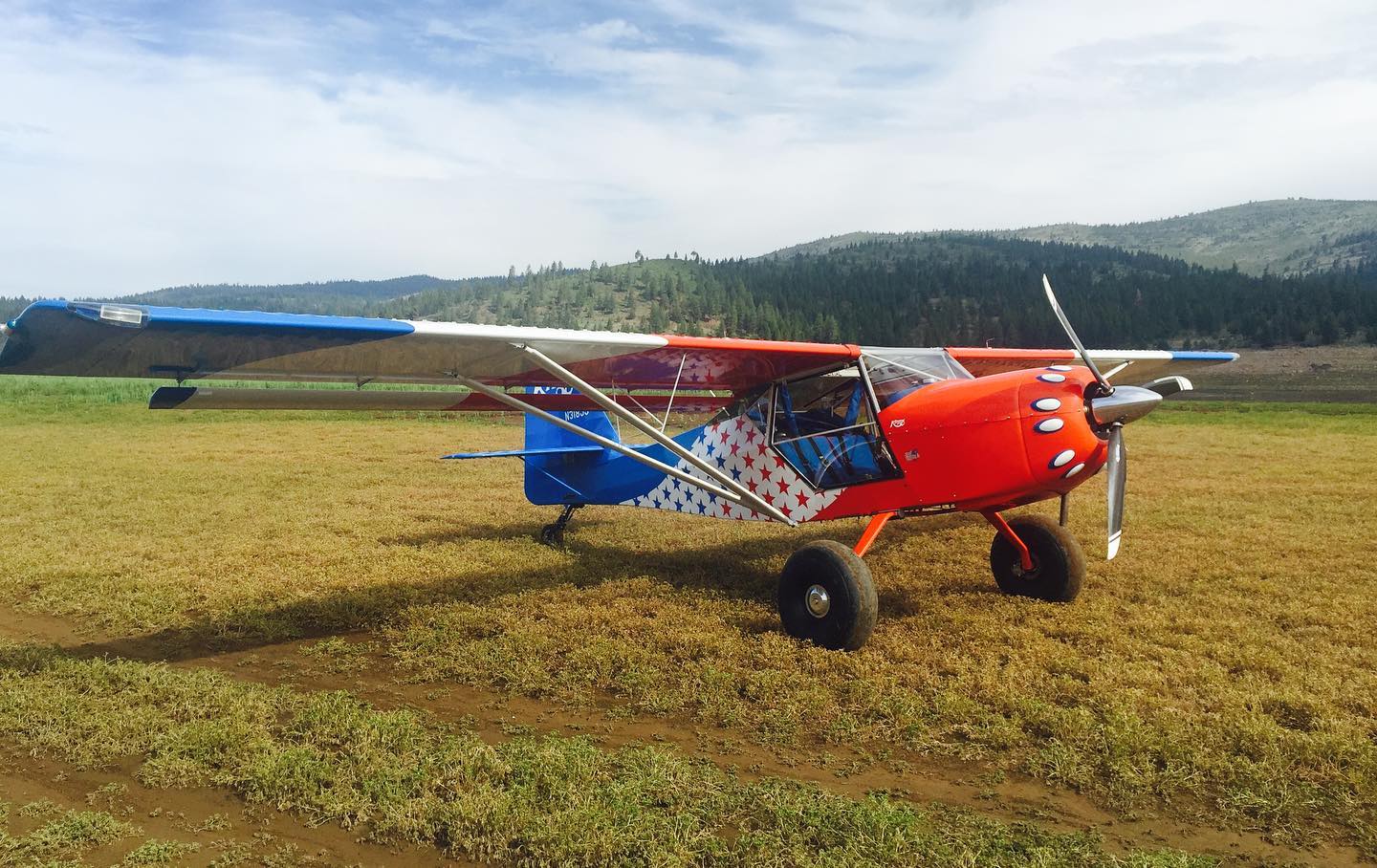 Trent Palmer's Kitfox Series V