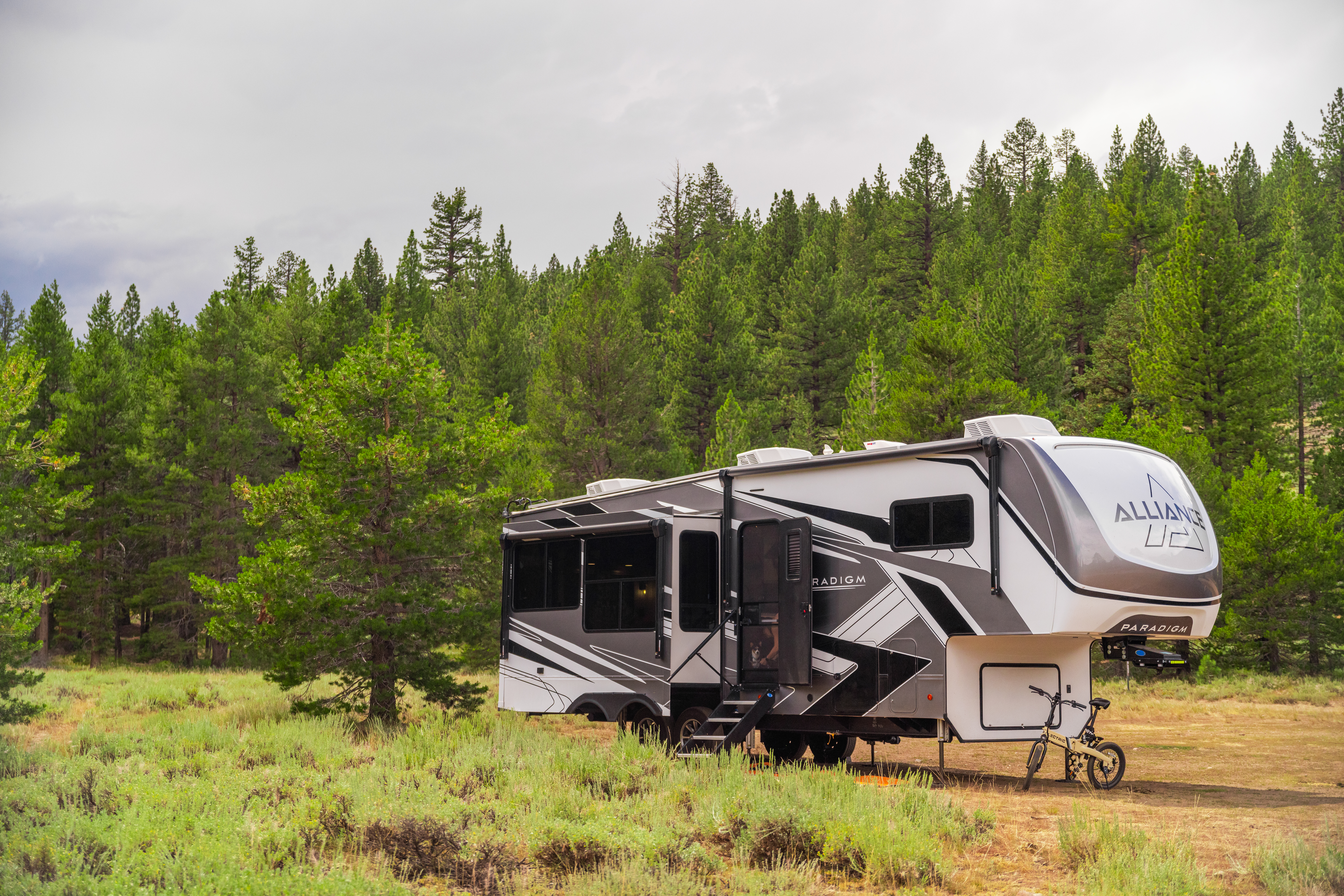 RV boondocking surrounded by trees