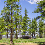 RV boondocking surrounded by trees