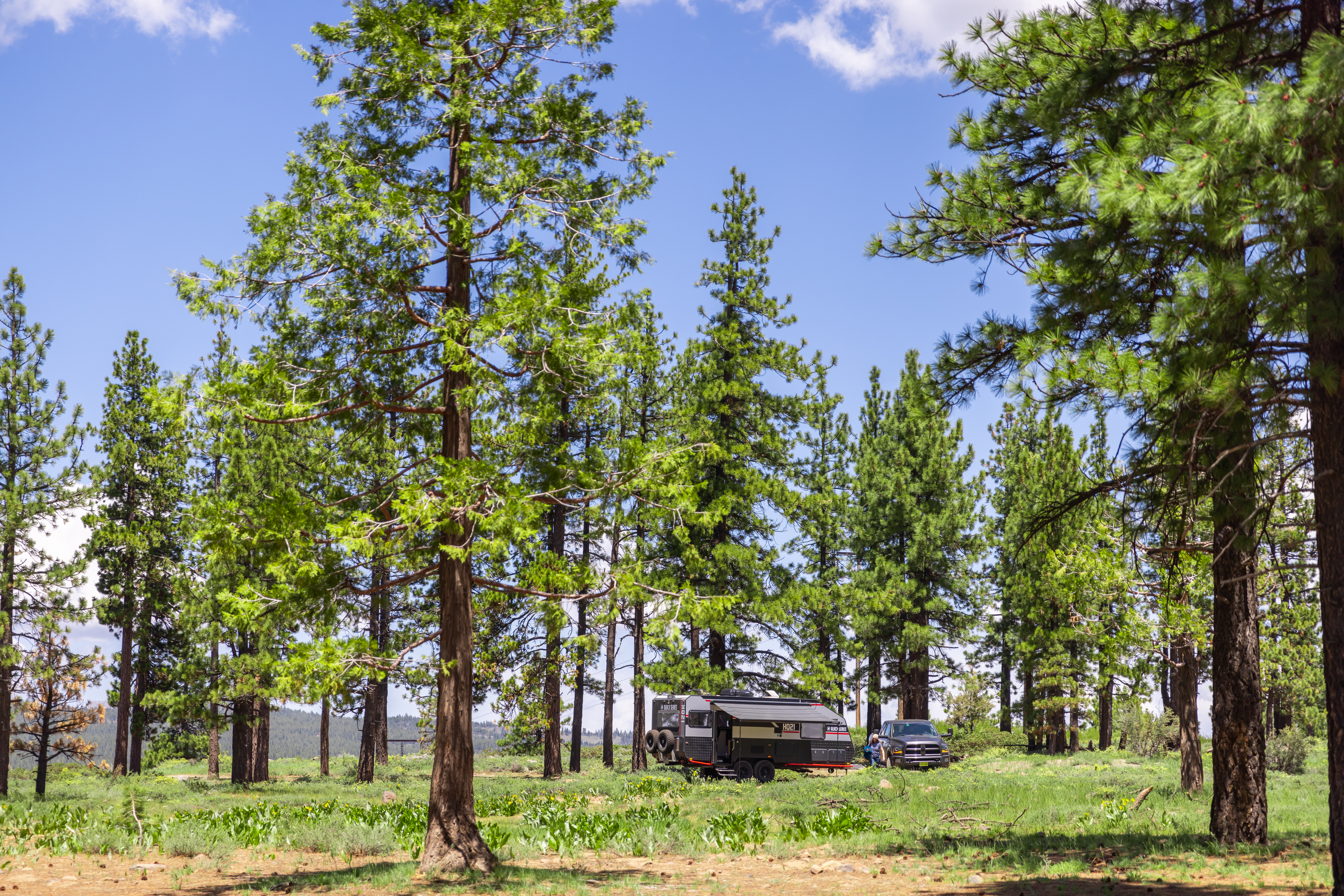 RV boondocking surrounded by trees