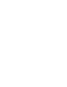 Boho Vans logo