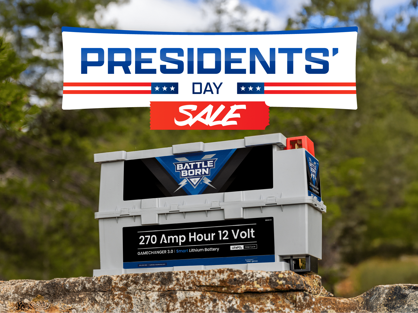 Presidents' Day Sale