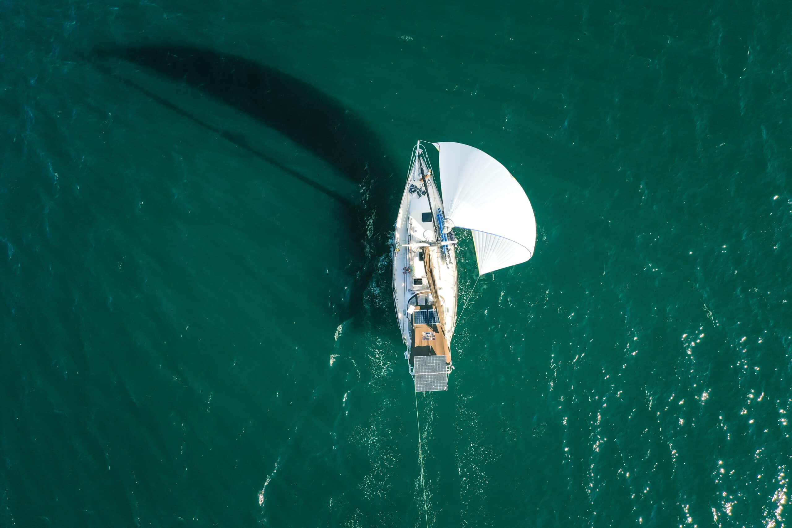 Boat being propelled by the wind