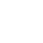 Robust Wireless Mesh Network-White